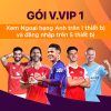 6948ee89afbc5_gói V.vip 1